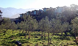 Example of Structural Engineering Projects, Tree Houses, Kaikoura